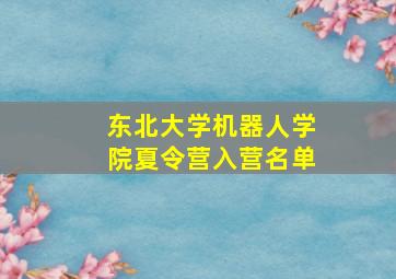 东北大学机器人学院夏令营入营名单