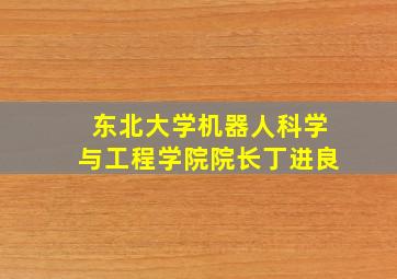 东北大学机器人科学与工程学院院长丁进良