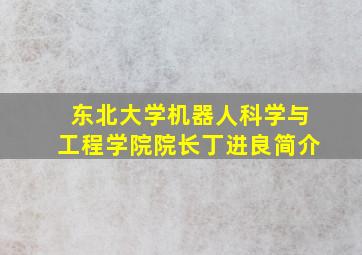 东北大学机器人科学与工程学院院长丁进良简介