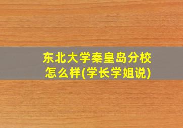 东北大学秦皇岛分校怎么样(学长学姐说)