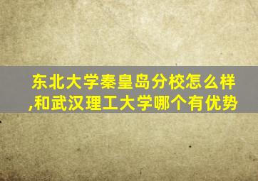 东北大学秦皇岛分校怎么样,和武汉理工大学哪个有优势