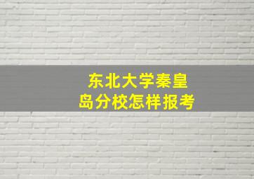 东北大学秦皇岛分校怎样报考