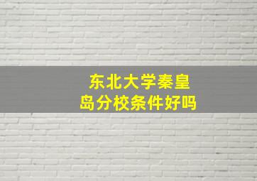 东北大学秦皇岛分校条件好吗