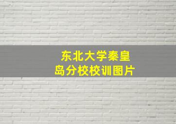 东北大学秦皇岛分校校训图片