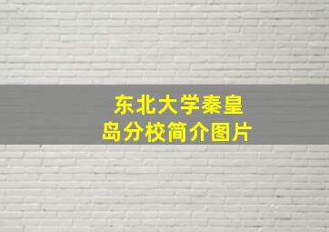 东北大学秦皇岛分校简介图片