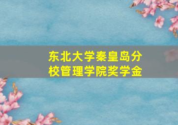 东北大学秦皇岛分校管理学院奖学金