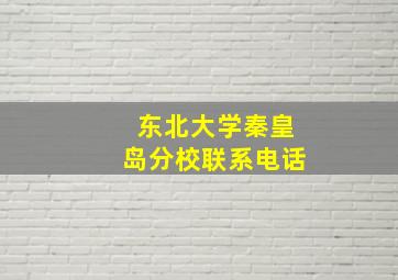 东北大学秦皇岛分校联系电话