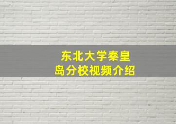 东北大学秦皇岛分校视频介绍