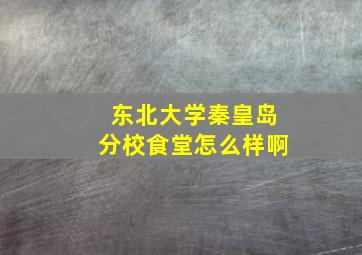 东北大学秦皇岛分校食堂怎么样啊