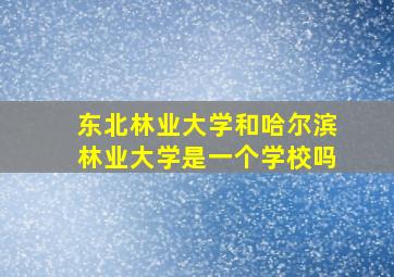 东北林业大学和哈尔滨林业大学是一个学校吗