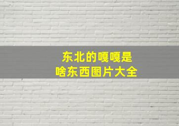 东北的嘎嘎是啥东西图片大全