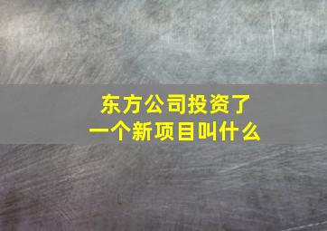 东方公司投资了一个新项目叫什么