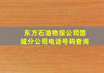 东方石油物探公司固城分公司电话号码查询