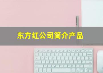 东方红公司简介产品