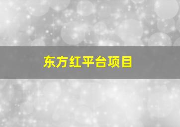 东方红平台项目