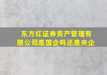 东方红证券资产管理有限公司是国企吗还是央企