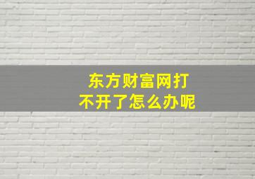 东方财富网打不开了怎么办呢