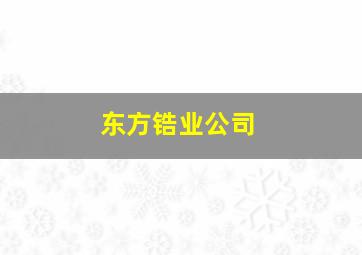 东方锆业公司