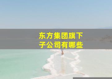 东方集团旗下子公司有哪些