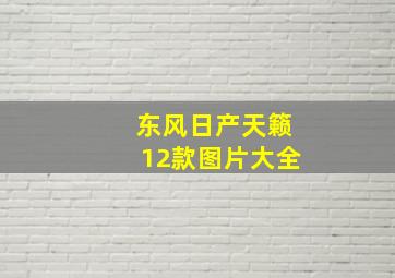 东风日产天籁12款图片大全