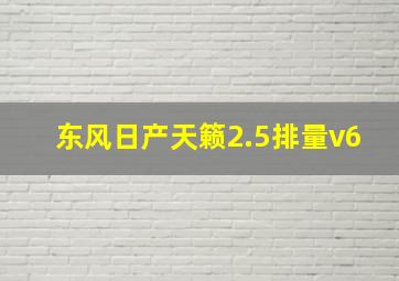 东风日产天籁2.5排量v6