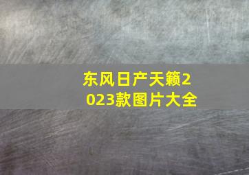 东风日产天籁2023款图片大全