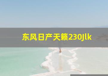 东风日产天籁230Jlk