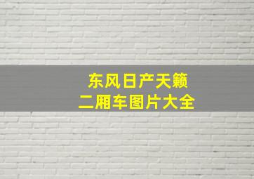 东风日产天籁二厢车图片大全