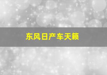 东风日产车天籁