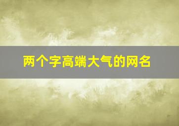 两个字高端大气的网名