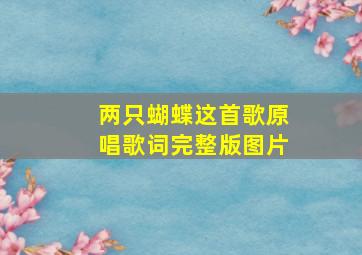 两只蝴蝶这首歌原唱歌词完整版图片