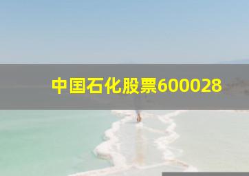 中囯石化股票600028