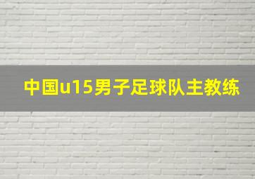 中国u15男子足球队主教练