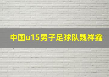 中国u15男子足球队魏祥鑫