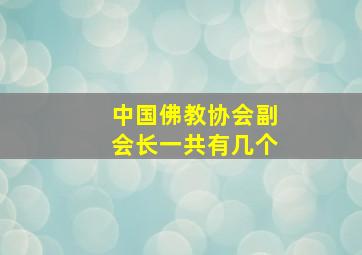 中国佛教协会副会长一共有几个