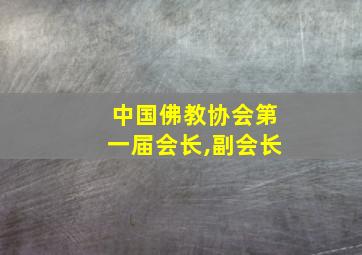 中国佛教协会第一届会长,副会长