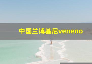 中国兰博基尼veneno