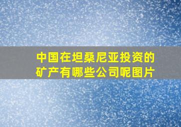 中国在坦桑尼亚投资的矿产有哪些公司呢图片