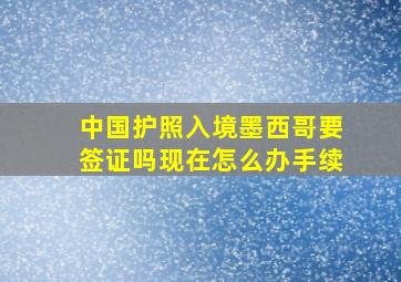 中国护照入境墨西哥要签证吗现在怎么办手续