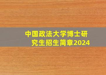 中国政法大学博士研究生招生简章2024