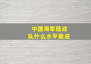 中国海军陆战队什么水平能进