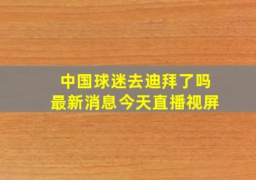 中国球迷去迪拜了吗最新消息今天直播视屏