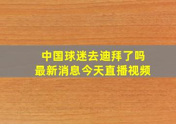 中国球迷去迪拜了吗最新消息今天直播视频