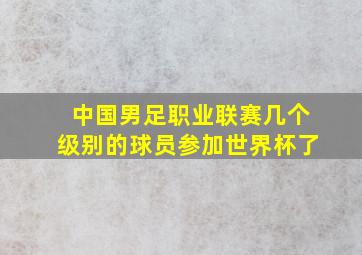 中国男足职业联赛几个级别的球员参加世界杯了