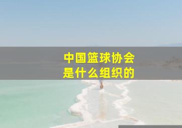 中国篮球协会是什么组织的