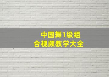 中国舞1级组合视频教学大全