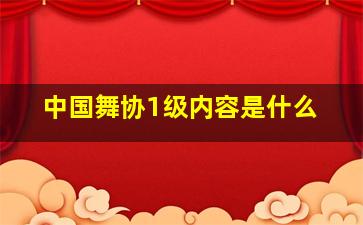 中国舞协1级内容是什么