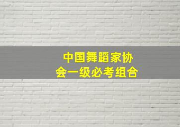 中国舞蹈家协会一级必考组合