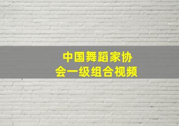 中国舞蹈家协会一级组合视频