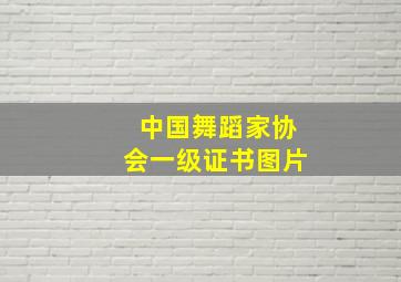 中国舞蹈家协会一级证书图片